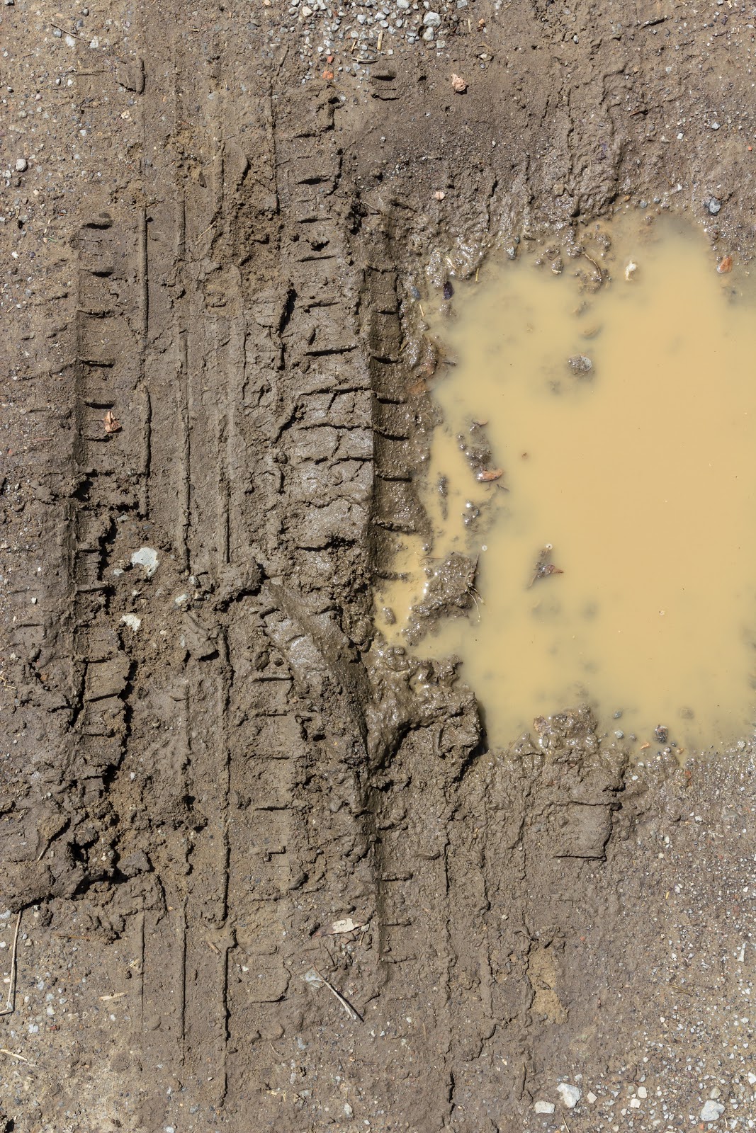 mud mud
