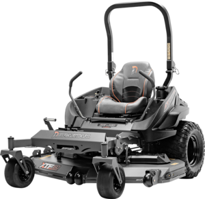 RZ-HD Image